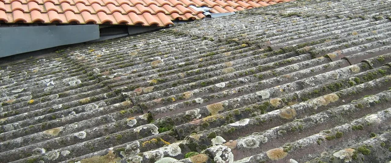 Couverture en fibro-ciment envahie de mousses et de lichens, jouxtant une couverture en tuile neuve