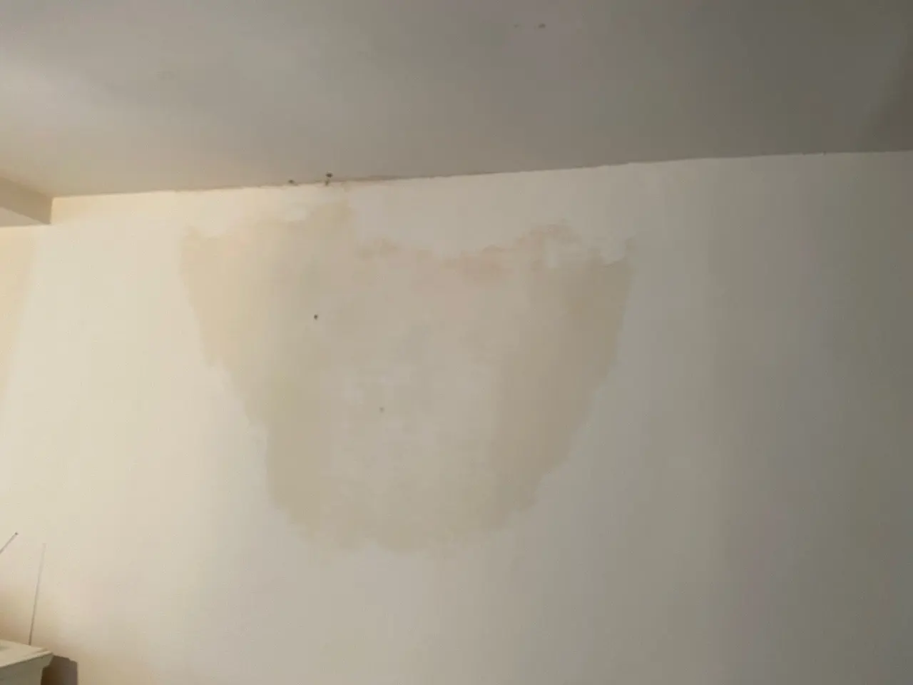 Auréole d'infiltration sur un mur intérieur, marque brune s'étendant depuis le plafond