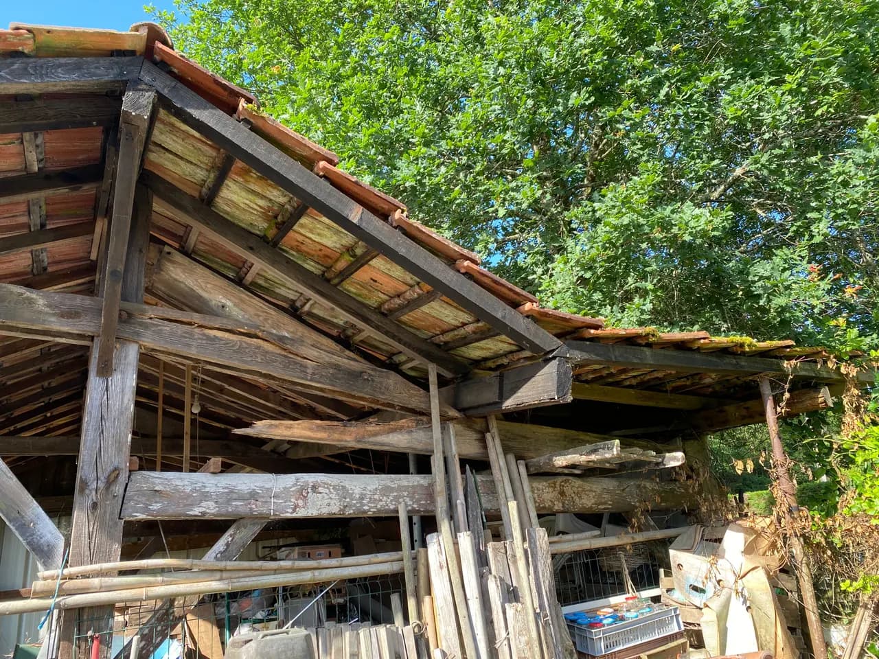 Rive de couverture d'un bâtiment ancien en bois, tuiles déformées et charpente envahie de mousse